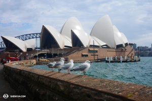 Ett besök i Sydneys Opera House och en stund av lugn och harmoni ... (Foto av dansaren Ben Chen)