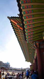 Under takfoten i Gyeongbokgung-palatset. Palatset byggdes i stil med forntida kinesisk arkitektur. Traditionell kinesisk kultur är mycket vördad i Korea, men ironiskt nog blev fyra föreställningar med traditionell kinesisk kultur inställda - och det på grund av den kinesiska ambassaden. (Foto av dansaren Ben Chen)