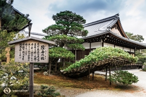 En sista bild på templet Kinkaku-ji i Kyoto, byggt i linje med arkitektur från Tangdynastin. (Foto av Kenji Kobayashi)