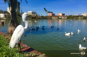 Och innan de reser till Philadelphia för att där ge tolv föreställningar avslutade Shen Yun International Company sin Floridaturné med att uppträda i en stad med det passande namnet Lakeland . (Foto av projektionist Annie Li)