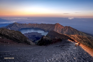 Vår orädda basist ger sig också på bergsklättring. Rinjaniberget, en aktiv vulkan på ön Lombok i Indonesien, är 3 726 meter över havet. Oavsett detta är TK redo för utmaningen.