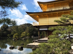 Dansare Betty Wang bestämmer sig för att kolla in Kinkaku-ji (Guldpaviljongen) i Kyoto.